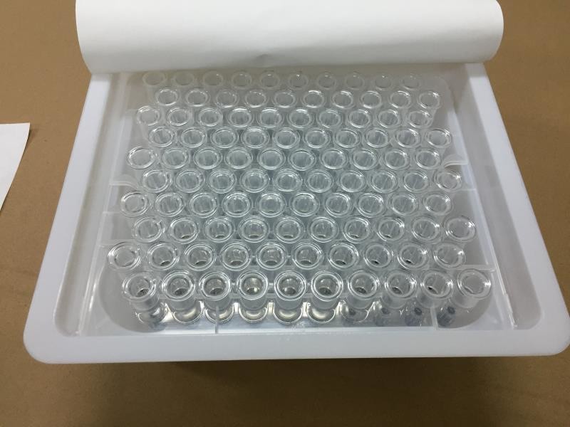 Empty Luer Lock Glass Syringes with Metal or Plastic Plunger for Cosmetic Oil