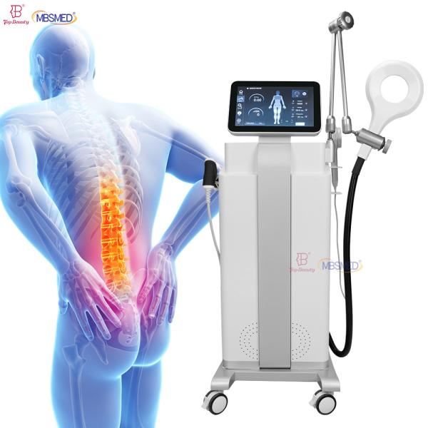 Regeneration And Rehabilitation Of Musculoskeletal Disorders PEMF Magnetic