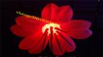 inflatable flowers decorations , balloon led , led light balloon , inflatable