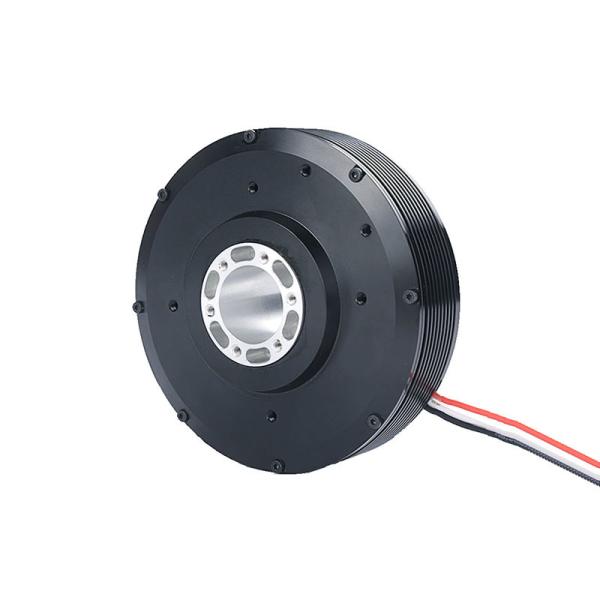 Faradyi Customized Brushless Motor High Quality 12V 24V PM100 High Torque Dc