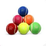 Tennis Ball toy for Puppies Dogs Dog Toy Ball Cat Ball