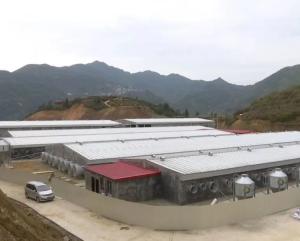 Wholesale Galvanized Prefabricated Steel Structure with Q355 Q235B Steel Grade from china suppliers