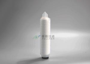 Wholesale Length 10&quot; 20&quot; Membrane Filter Cartridge PES Pleated 0.22um Eye Drop Filtration from china suppliers