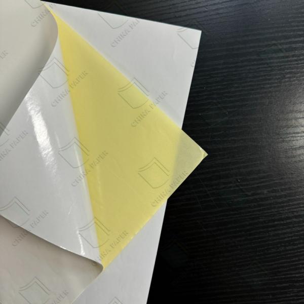 Self-Adhesive Sticker Paper for Thermal Labels and Juice Labels with Glassine