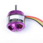 Outrunner Frameless Brushless DC Motor