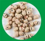 Sugar Seaweed Coated Peanuts Children Love To Eat Crunchy Coated Peanuts
