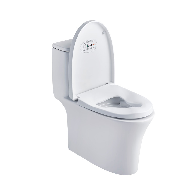 Round Bowl Elongated One Piece Toilets Dual Flush 0.9GPF