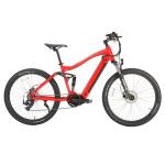 48V 10.5Ah Battery EMB20 Mid Drive Bafang Motor Electric Fat Bike with 700C