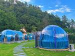 Hot-Selling Fashionable Design PC Bubble House For Hotel Dome Tent Modular