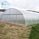Aquaponis Growing Poly Tunnel Plastic Greenhouse For Agriculture