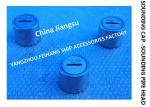 Stainless Steel 316L Sounding Injection Head For Marine Fresh Water Tank Model