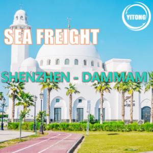 Wholesale 20 Days Worldwide Sea Freight Logistics From Shenzhen To Dammam Saudi Arabia from china suppliers