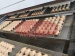 Manufacturer Disposable Paper Molded Dry Fruit Tray Egg Tray Equipment