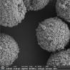 Buy cheap Amino Magnetic Polymer Beads For Immunodiagnosis 2μm 10 mg / mL 5 mL from wholesalers