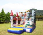 Hotel Tarpaulin Inflatable Bouncer Slide Jumping Bouncy Castle