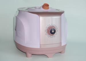 Wholesale Laundry Garment Steamer With Stand , Wrinkle Remover Fabric Clothes Steamer from china suppliers