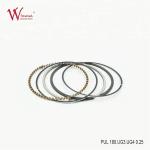 Motorbike Forged Piston Kit PUL 180 UG3 / UG4 0.25 Aftermarket Piston Kits