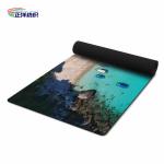 24"X72" Natural Rubber Backed Door Rugs Anti Slip 4mm Printed Plastic Door