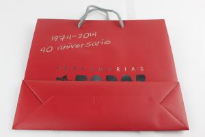 Wholesale Professional 100-450gsm Kraft Paper Bags PP Rope Handle Art Paper Bag from china suppliers
