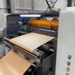 Wooden Virgin High Quality PE Coated Paper In Sheet for Paper Cup/Bowl