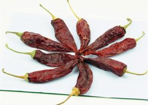 Wholesale Red Jinta Chilli Pepper Fruity Smoky Aroma 8%-12% Moisture 10-15cm from china suppliers