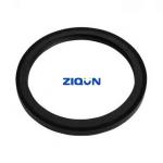 ISO90001 1316431 1375002 Crankshaft Oil Seals