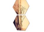 Attractive Tinted Wall Mirror , Eco Friendly Tinted Plate Glass Multi Color