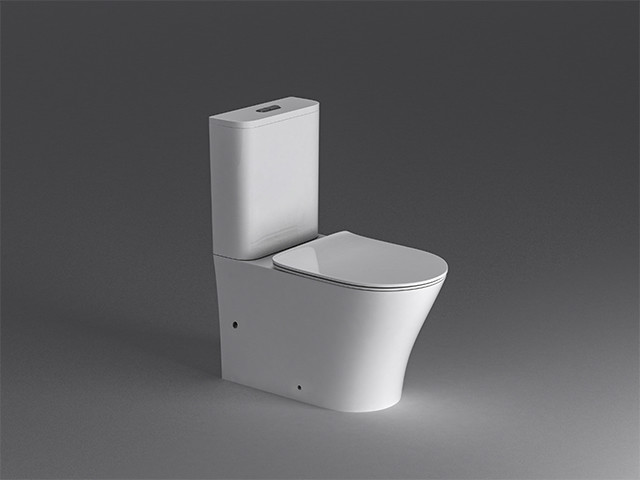 ARROW AB2232H/AS8232D 2 Piece Toilet Seat Dual Flush Washdown