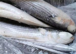 Wholesale 1000g 1500g Seafood BQF Freezing Grey Mullet Fish from china suppliers