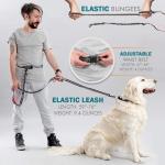 Pet Reflective Two Hand Handle Leash Hands Free Outdoor Portable Running Dog