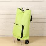 Market Foldable Reusable Shopping Bags 2 Wheels Luggage Vegetable Trolley Bag