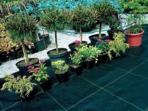 Wholesale 100gsm Anti Weed Polypropylene Ground Cover PP Woven Fabric Ground Cover Weed Barrier from china suppliers