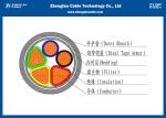 0.6/1KV Armoured Aluminium Electric LV Power Cable （AL/PVC/XLPE/STA/NYBY/N2XBY)