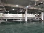 Customized Stainless Steel Microwave Vacuum Drying Equipment for Optimal