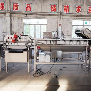 Wholesale Multi - Functional Salad Production Line / Spinach Vegetable Processing Line from china suppliers
