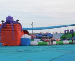 Octopus Slide Aqua Sports Water Park Reliable Long Lifespan Creative Anti Skid