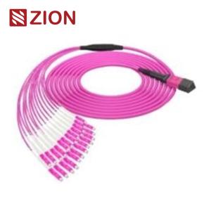 Wholesale 24 Fibers MPO to LC OM4 Fiber Optic MPO-LC 2.0mm Straight harness Cables from china suppliers