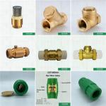 Corrosion Resistant PPR Check Valve High temperature resistance 20-63mm