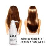 Pure Organic Moroccan Argan Oil Shampoo Anti Aging Hair Care Set for Adult Hair