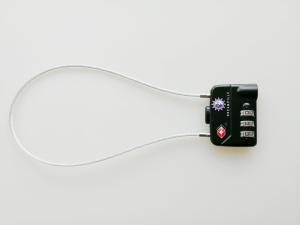 Wholesale 40CM Length TSA Cable Lock Color Customized Logo Printed BSCI Approved from china suppliers