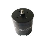 Customized Waterproof Electric Motor Brushless 24V 12V 300W With Hub Motor Brake