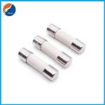 250V 300V 1.25A 2.5A 6.3A Miniature Cartridge Fuse Fast Acting Ceramic Fuse