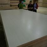 High End Cabinet 18mm E0 Glue Melamine Faced Plywood