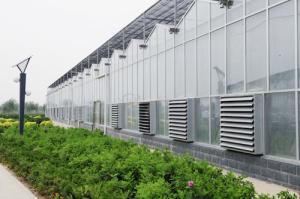 Wholesale Agricultural Venlo Type Greenhouse , Stable Structure Polycarbonate Sheet Greenhouse from china suppliers