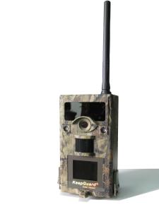 Wholesale Outdoor 3G Wireless Wildlife Camera With Telephone / Computer Sim Card from china suppliers
