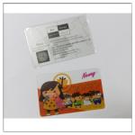 Customed pvc club membership cards, plastic pvc membership cards printing