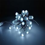 High quality outdoor IP67 waterproof Single Color 0.2W Led DC 12V 9mm Led Pixel