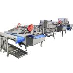 Frozen Food 1000kg/H Fruit Vegetable Washing Machine