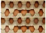 Hanging Transfer Pulp Molding Dryer / Egg Tray Drying Production Line