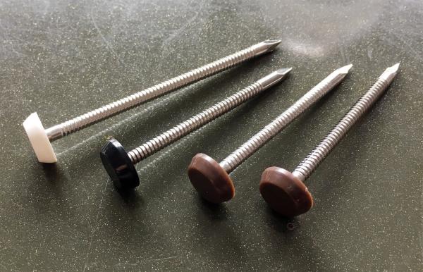 Plastic Head Stainless Steel Nail with ring shank